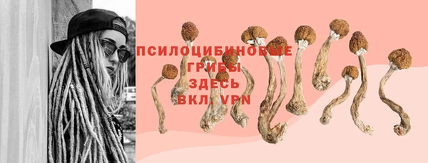 героин Алексин