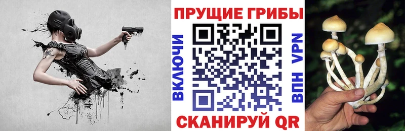 Галлюциногенные грибы Magic Shrooms  наркота  Осташков 